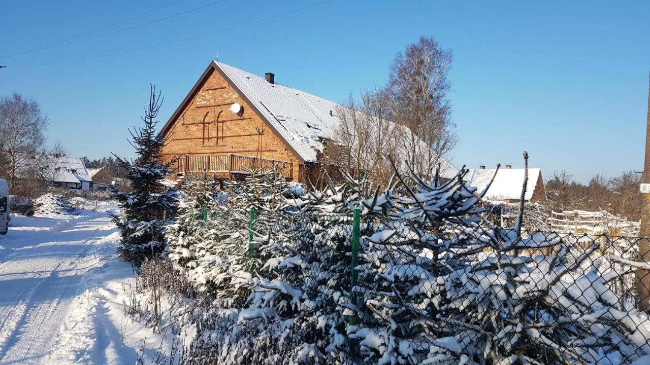 Dziewanna Lejlighed Brzeziniec Eksteriør billede