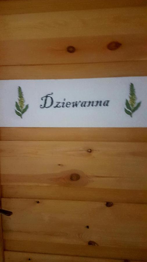 Dziewanna Lejlighed Brzeziniec Eksteriør billede